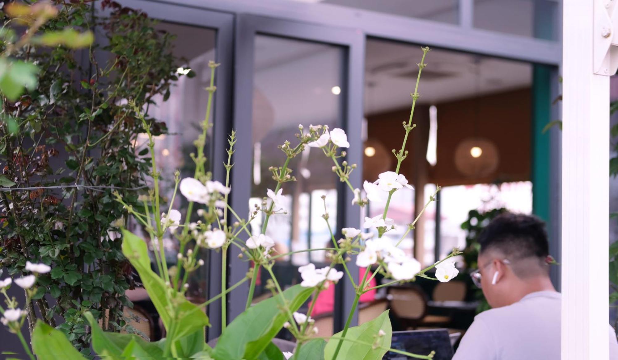 The Bloom Hanoi - Bespoke Living Екстериор снимка